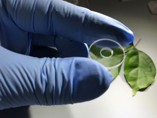 Хорошая цена Компоненты сапфира коррозионной устойчивости нося набивку с допуском на диаметр отверстия ±0.03мм онлайн