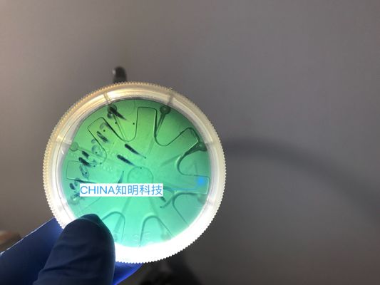 Хорошая цена 2 тип слитки вафли кремниевого карбида ДЮЙМА 6Х-Н кристаллических вафель МПД 50км 330ум СиК онлайн